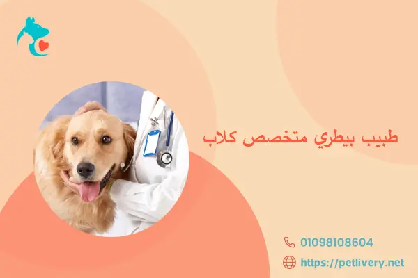 طبيب بيطري متخصص كلاب