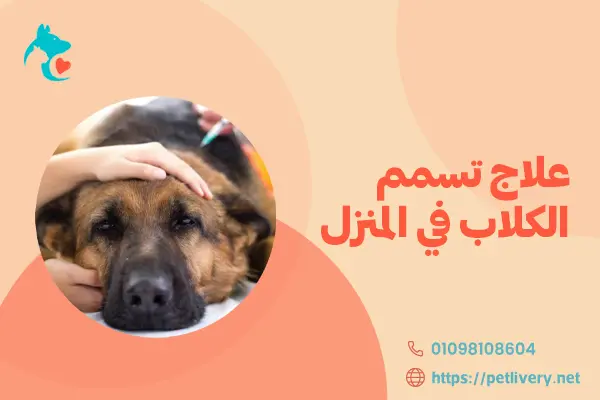 علاج تسمم الكلاب في المنزل