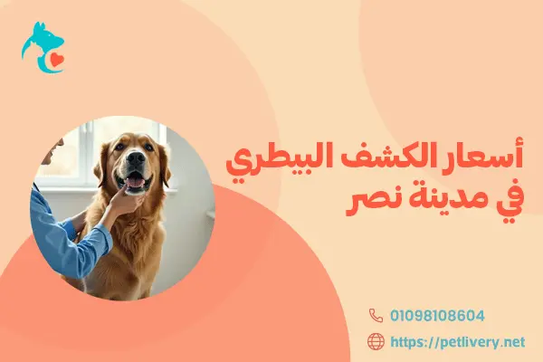 أسعار الكشف البيطري في مدينة نصر