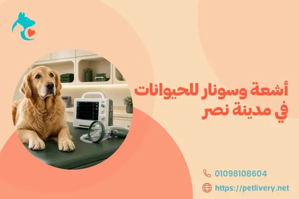أشعة وسونار للحيوانات في مدينة نصر