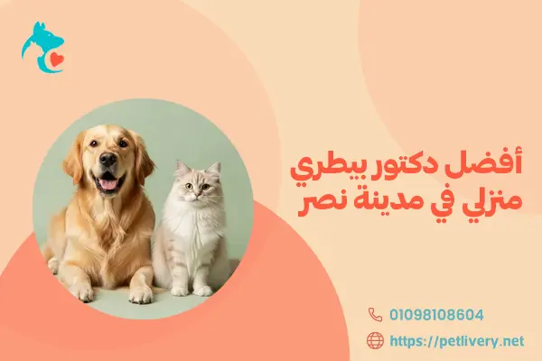 أفضل دكتور بيطري منزلي في مدينة نصر