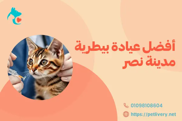 أفضل عيادة بيطرية مدينة نصر