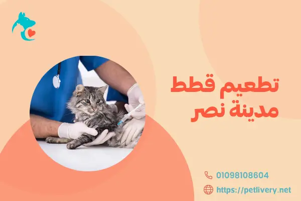 تطعيم قطط مدينة نصر
