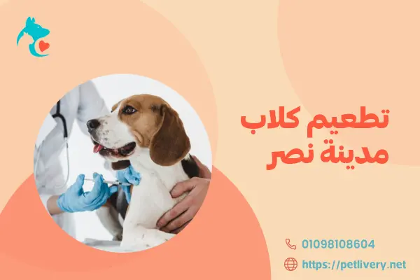 تطعيم كلاب مدينة نصر