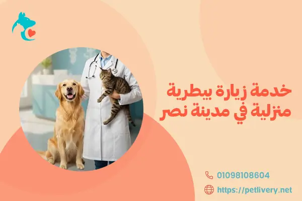 خدمة زيارة بيطرية منزلية في مدينة نصر