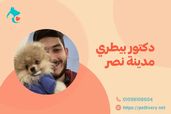 دكتور بيطري مدينة نصر