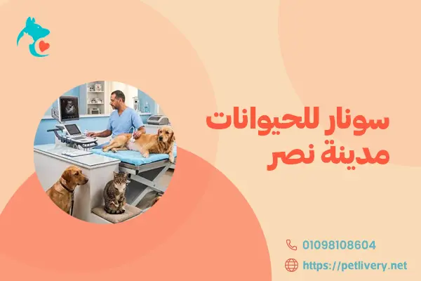 سونار للحيوانات مدينة نصر