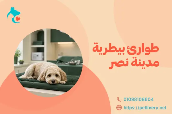 طوارئ بيطرية مدينة نصر