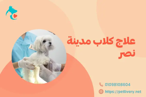 علاج كلاب مدينة نصر