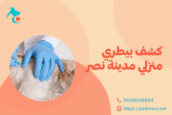 كشف بيطري منزلي مدينة نصر