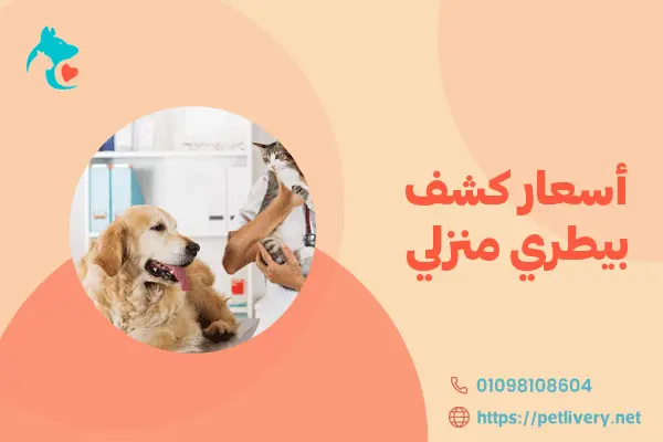 أسعار الكشف البيطري المنزلي