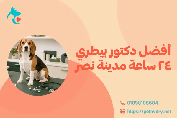 أفضل دكتور بيطري 24 ساعة مدينة نصر 
