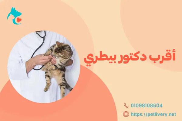 أقرب دكتور بيطري