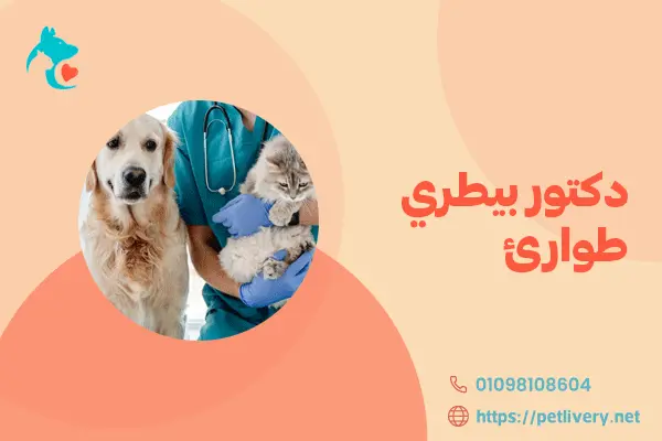 دكتور بيطري طوارئ