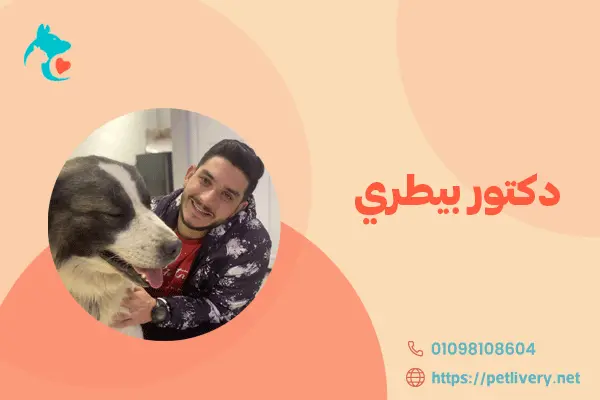 دكتور بيطري