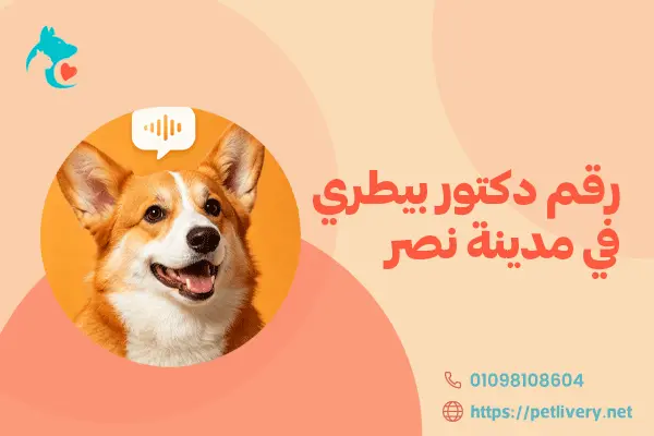 رقم دكتور بيطري في مدينة نصر