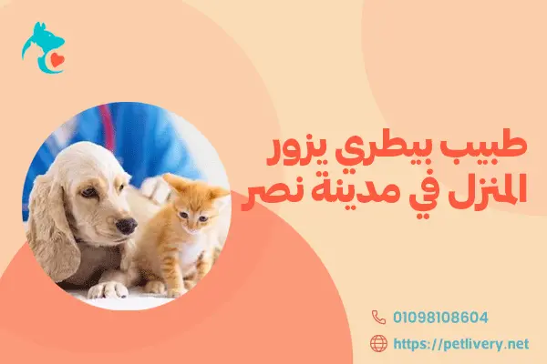 طبيب بيطري يزور المنزل في مدينة نصر 