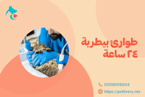 طوارئ بيطرية 24 ساعة