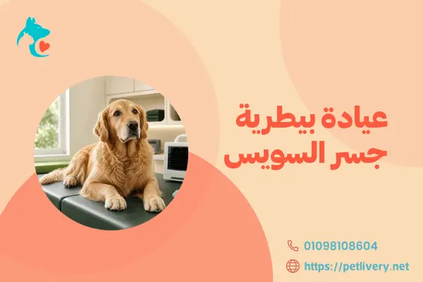 عيادة بيطرية جسر السويس
