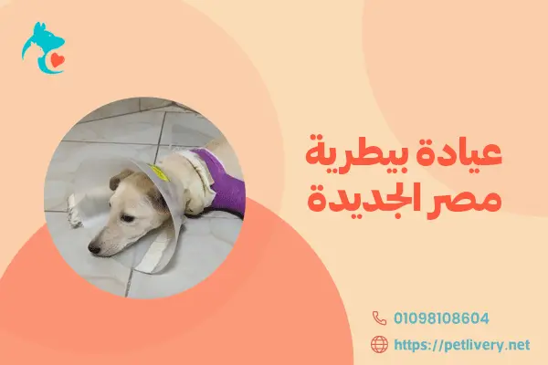 عيادة بيطرية مصر الجديدة