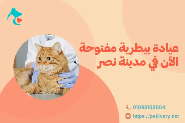عيادة بيطرية مفتوحة الآن في مدينة نصر 