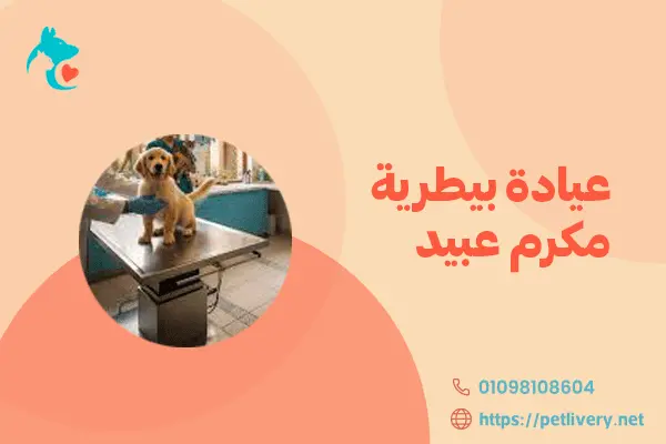 عيادة بيطرية مكرم عبيد