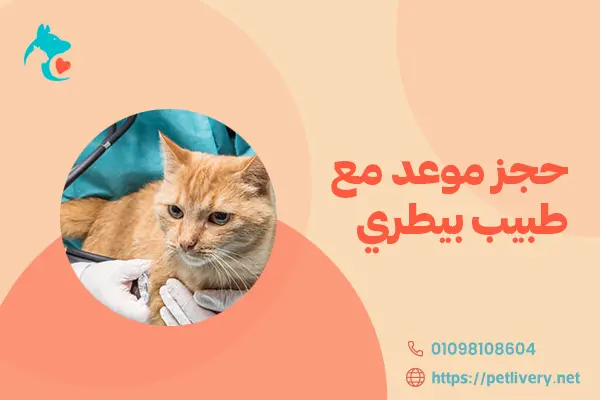 حجز موعد مع طبيب بيطري