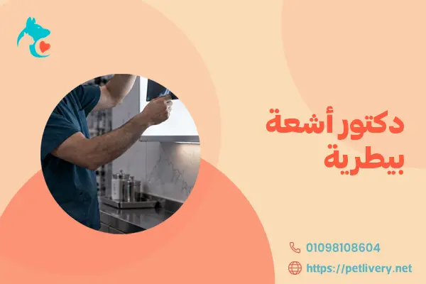 دكتور أشعة بيطرية