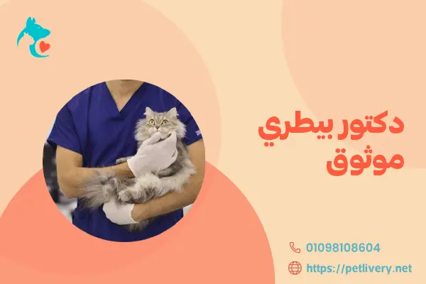 دكتور بيطري موثوق
