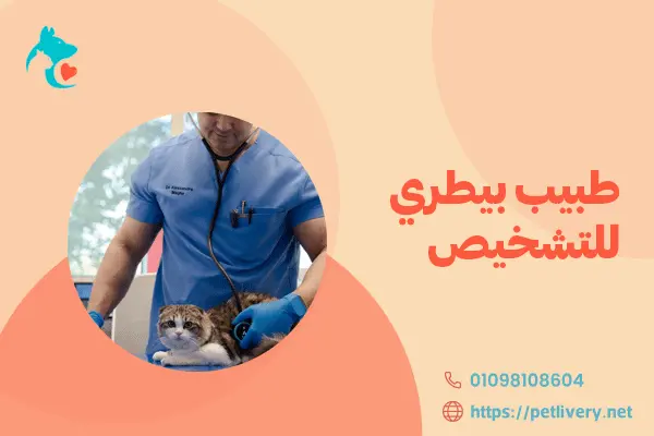 طبيب بيطري للتشخيص