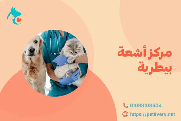 مركز أشعة بيطرية