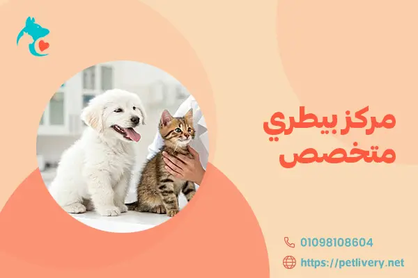 مركز بيطري متخصص