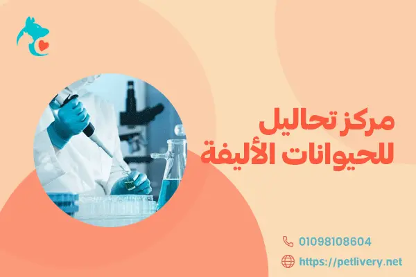 مركز تحاليل للحيوانات الأليفة