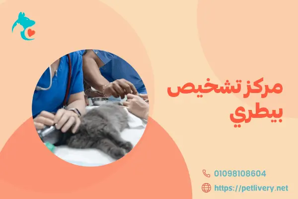 مركز تشخيص بيطري
