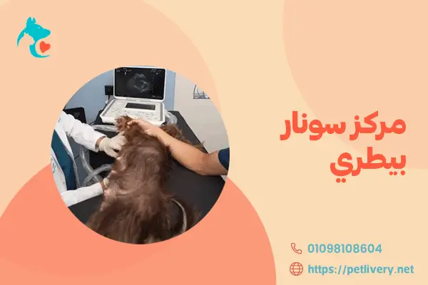 مركز سونار بيطري
