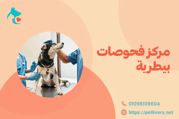 مركز فحوصات بيطرية